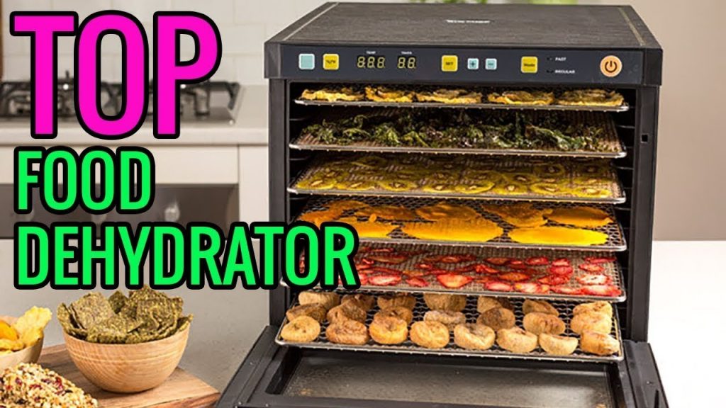 Best Food Dehydrator in 2020