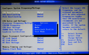 Bios overcloking