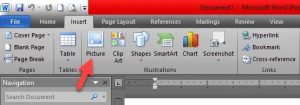 insert pdf into word