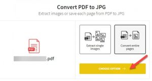 insert pdf into word