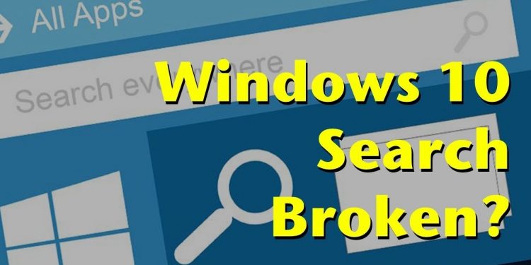 windows search not working