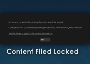 paladins content file locked