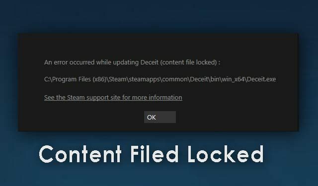 paladins content file locked