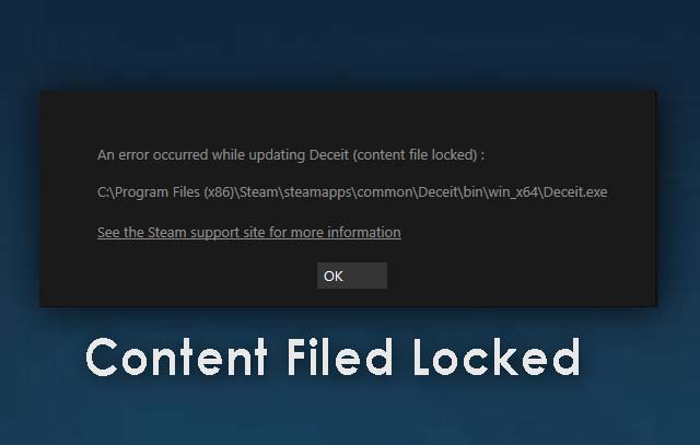 paladins content file locked