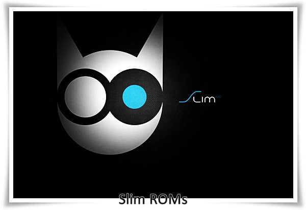 Slim ROMs