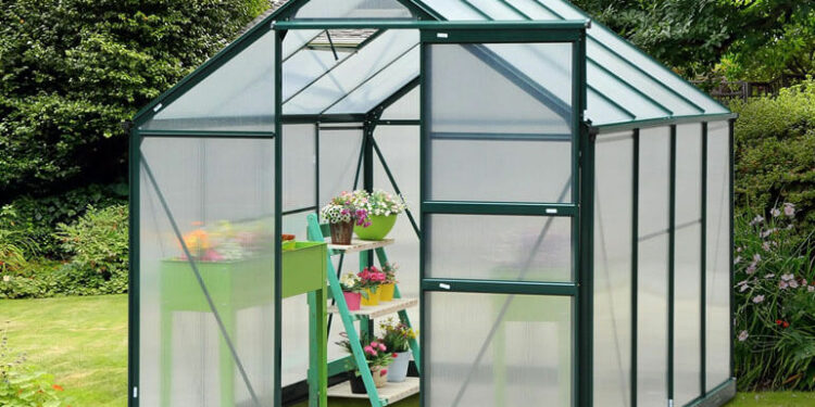 Best Portable Greenhouses