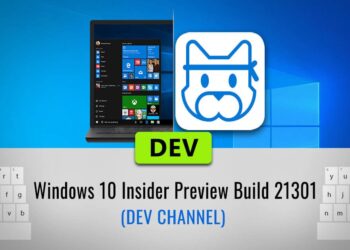 windows 10 insider preview build 21301