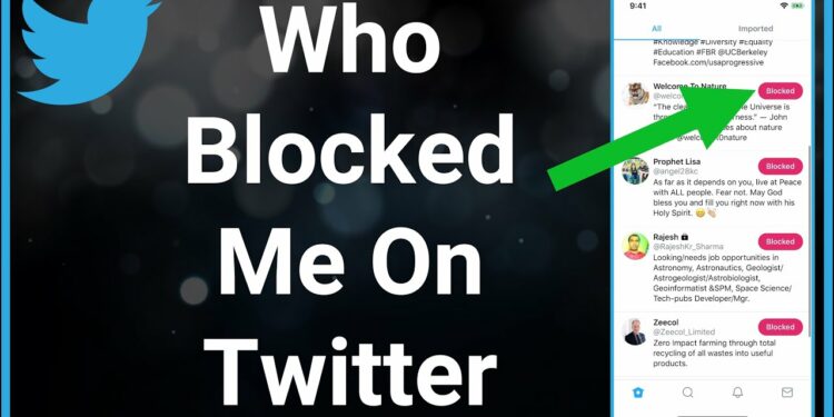 Twitter block list checker