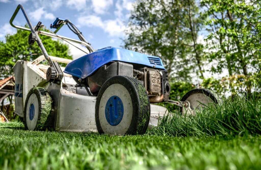 best lawn care service