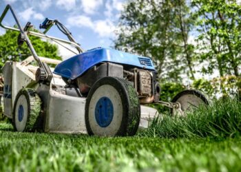 best lawn care service