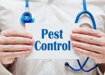 best pest control