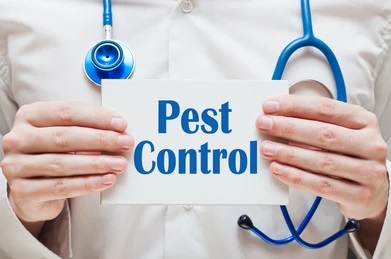 best pest control