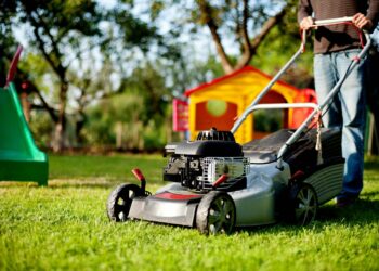 Lawn Care Services