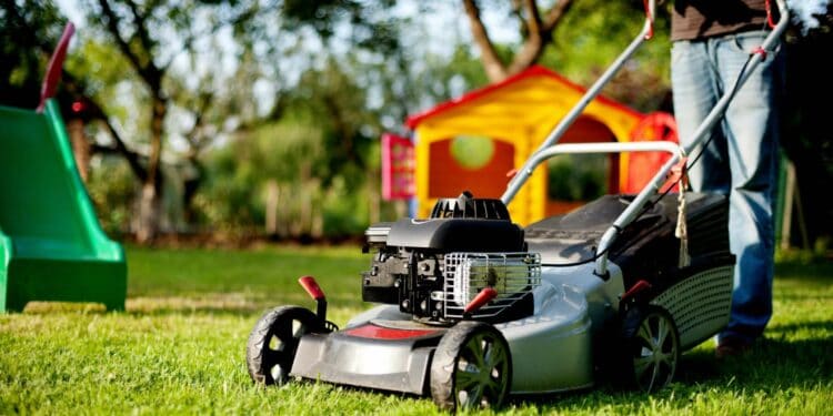 Lawn Care Services