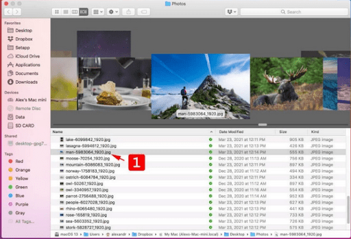 Top 4 Ways to Recover Deleted Photos on Mac [Updated]