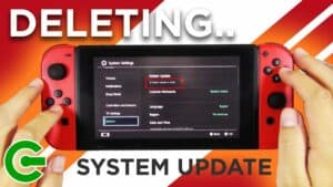 Update Your Switch System
