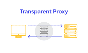 Transparent Proxies