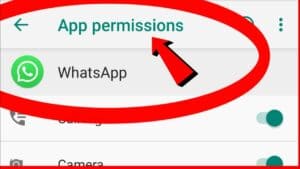 Allow all the permission to WhatsApp
