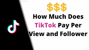 How much does Tictok pay per view