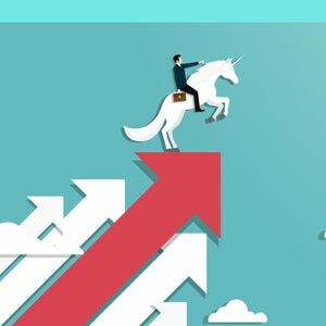 Market requirements to build a unicorn model