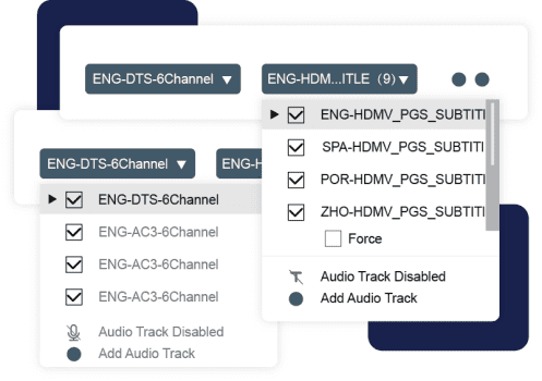 audio-tracks-and-subtitles-preservation