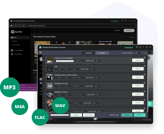 Embedded Web Player in TuneFab SMC