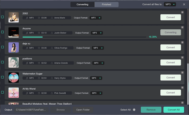 Convert Spotify Music to MP3