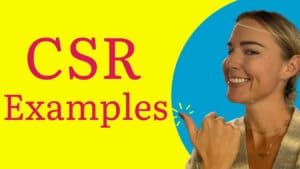 Examples of a CSR Strategy