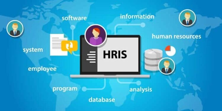 Top 5 Best HR Software In New Zealand In 2023