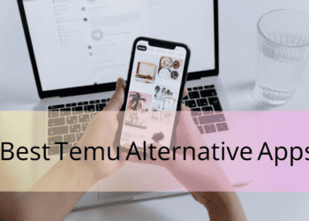 Temu Alternatives