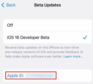 Can I use a different Apple ID for the Beta Program