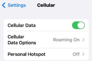 Choose Cellular Data Options