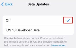 How do I disable receiving Beta Updates on iPhone