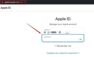 Log in using your Apple ID