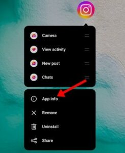 Tap ‘App Info’ after performing a long hold on the Instagram app icon