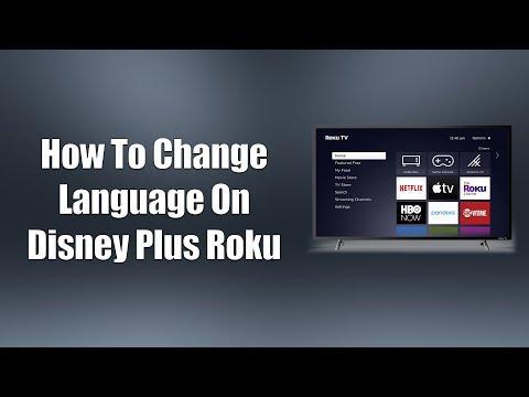 How To Change Disney Plus Language on Roku
